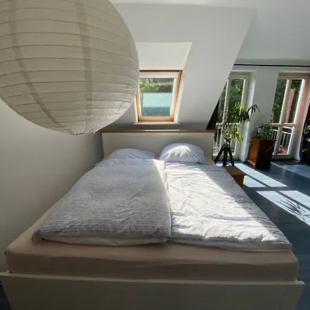 Zentrale Anker Im Sonnenblumenhaus *