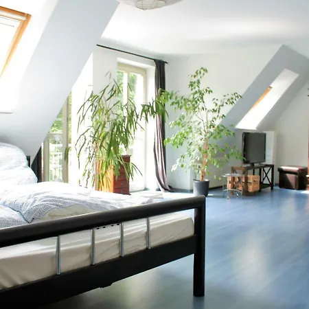 Zentrale Anker Im Sonnenblumenhaus Apartment Flensburg