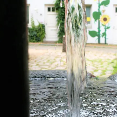 Zentrale Anker Im Sonnenblumenhaus Flensburg