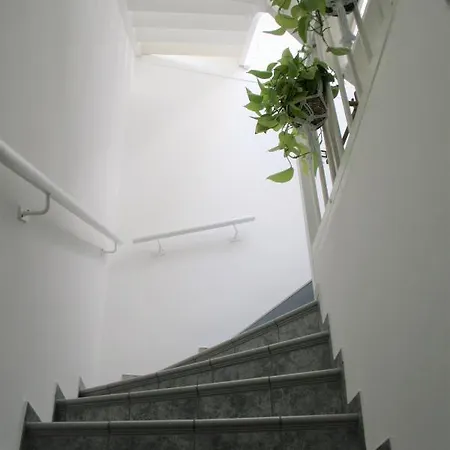 Zentrale Anker Im Sonnenblumenhaus